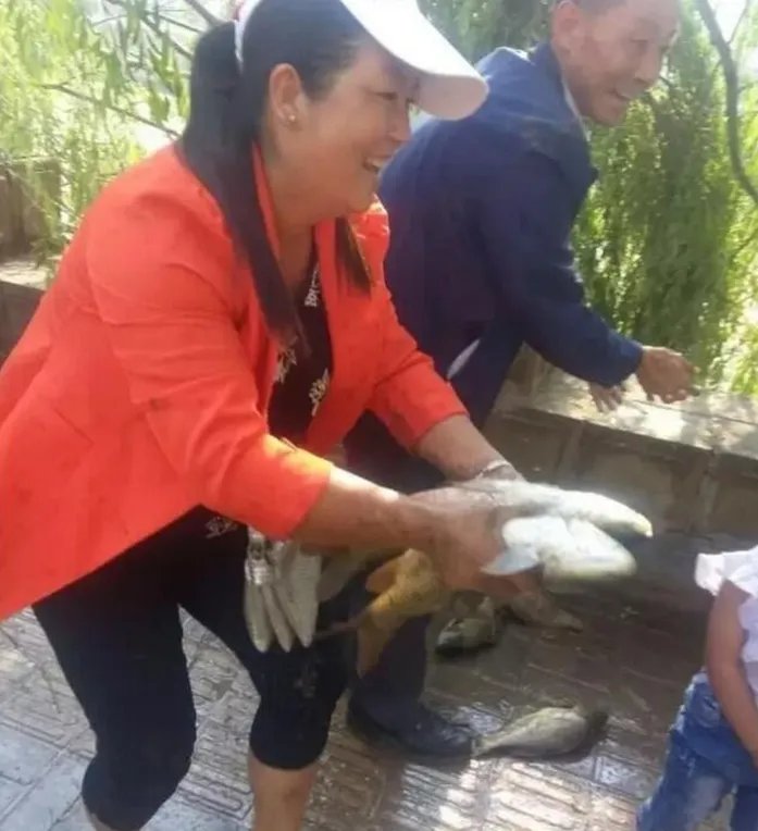 车侧翻鱼儿遭哄抢是怎么回事?