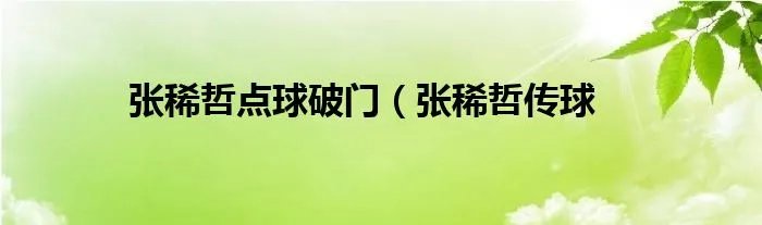 张稀哲点球破门（张稀哲传球