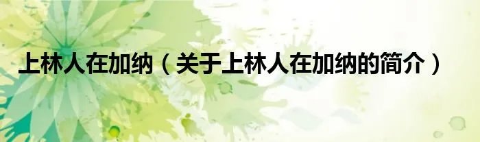 上林人在加纳（关于上林人在加纳的简介）