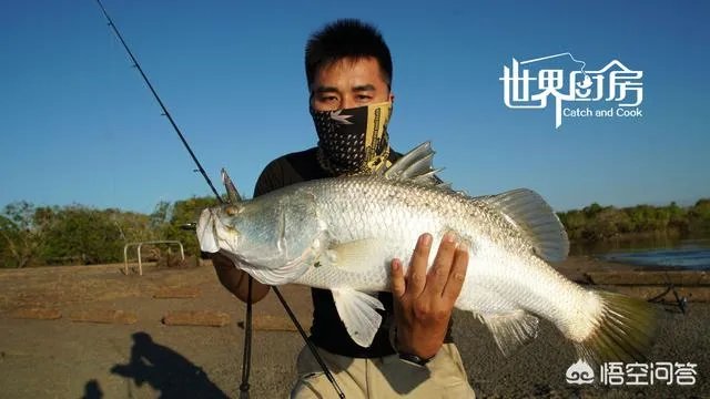 除了《游钓中国》,你还喜欢什么钓鱼类视频?
