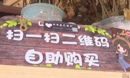 24小时自助花店两年没丢一盆花,如何看待这件事情?