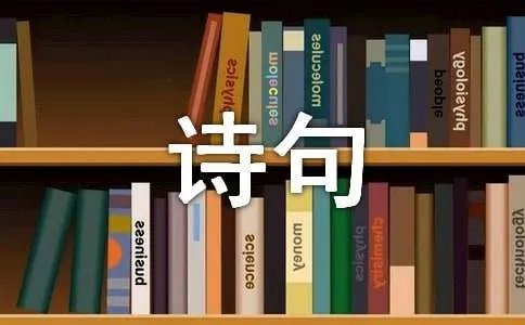 茶的诗句