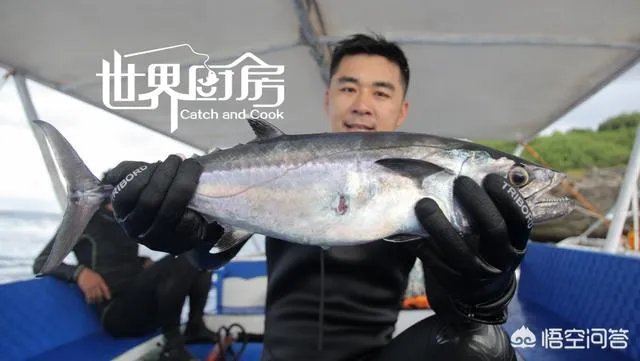 除了《游钓中国》,你还喜欢什么钓鱼类视频?