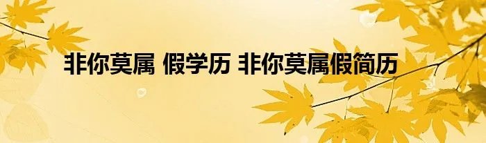 非你莫属 假学历 非你莫属假简历