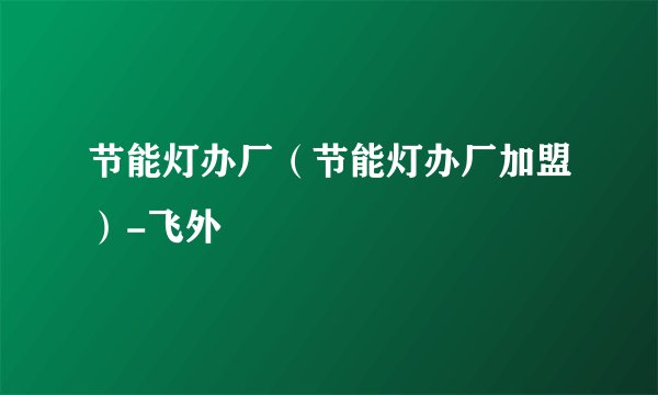 节能灯办厂（节能灯办厂加盟）-飞外