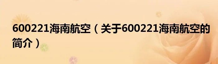600221海南航空（关于600221海南航空的简介）