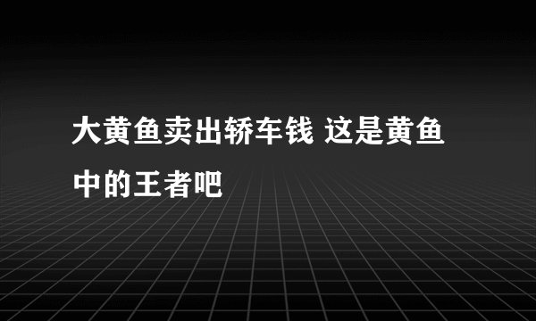大黄鱼卖出轿车钱 这是黄鱼中的王者吧