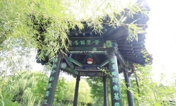 琅琊王氏