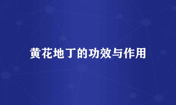 黄花地丁的功效与作用