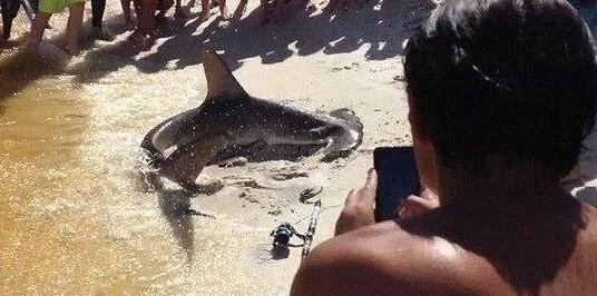 男子海边垂钓发现这物 罕见一幕让人惊呆（图）