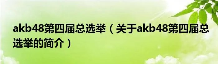 akb48第四届总选举（关于akb48第四届总选举的简介）