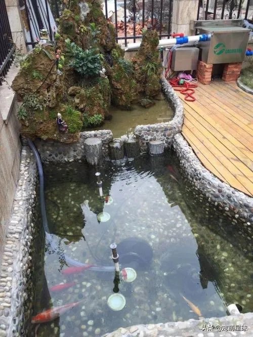 摸鱼池水深多少合适?