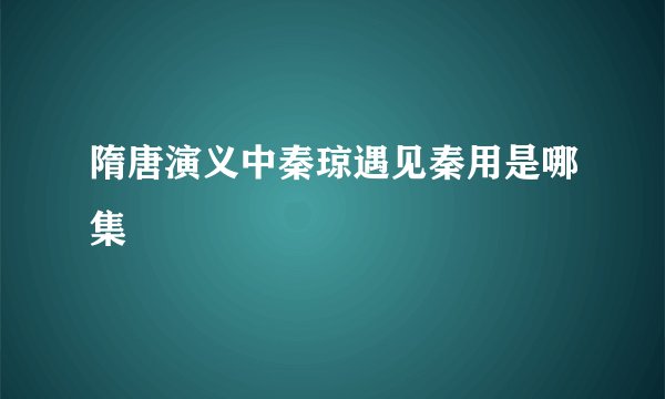隋唐演义中秦琼遇见秦用是哪集