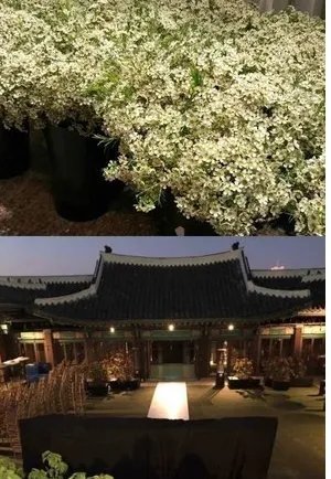 章子怡将出席双宋婚礼吗?
