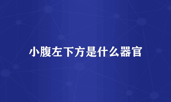 小腹左下方是什么器官