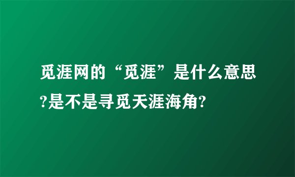 觅涯网的“觅涯”是什么意思?是不是寻觅天涯海角?
