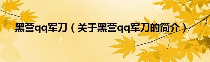 黑营qq军刀（关于黑营qq军刀的简介）