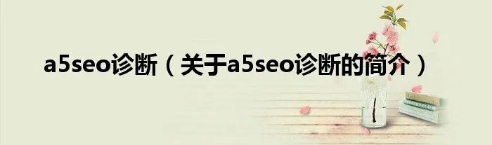 a5seo诊断（关于a5seo诊断的简介）