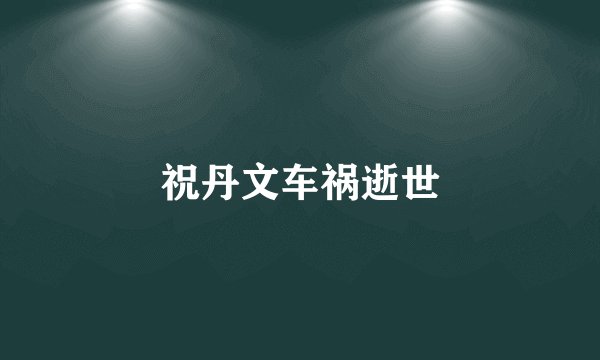 祝丹文车祸逝世