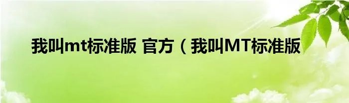 我叫mt标准版 官方(我叫MT标准版
