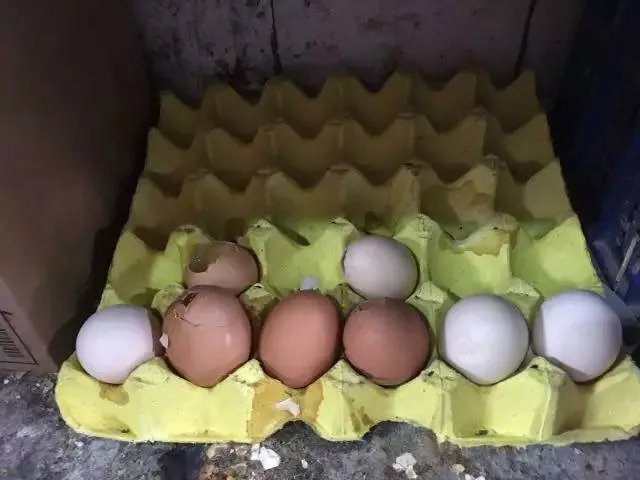鸡蛋滴鼠药被买走 店主负责任满城寻找