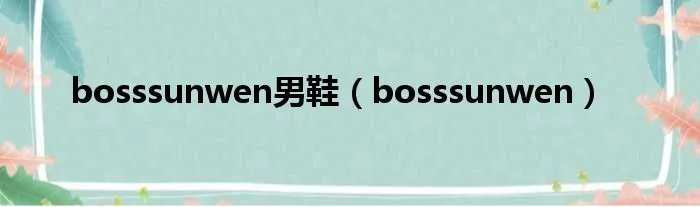 bosssunwen男鞋（bosssunwen）