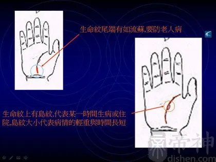 教你如何看手相?看手相算命图解大全