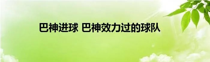 巴神进球 巴神效力过的球队