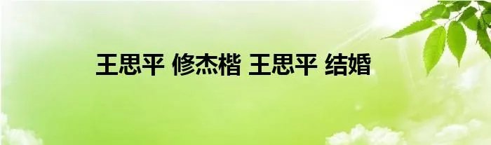王思平 修杰楷 王思平 结婚