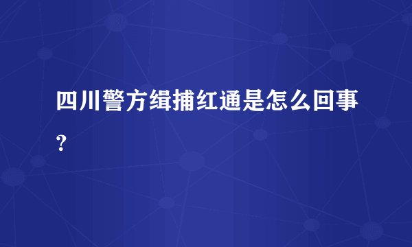 四川警方缉捕红通是怎么回事？