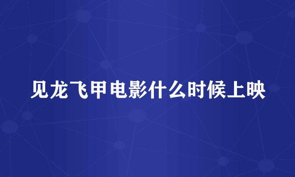 见龙飞甲电影什么时候上映