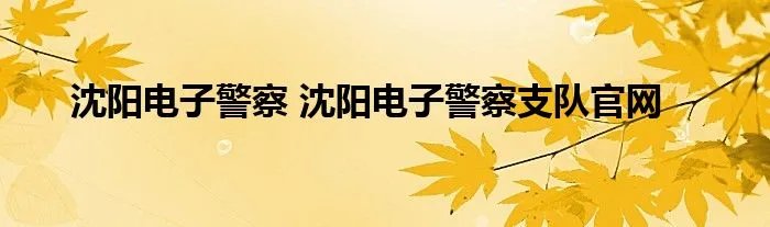 沈阳电子警察 沈阳电子警察支队官网