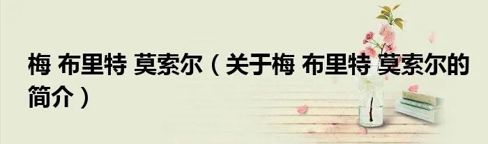 梅 布里特 莫索尔(关于梅 布里特 莫索尔的简介)