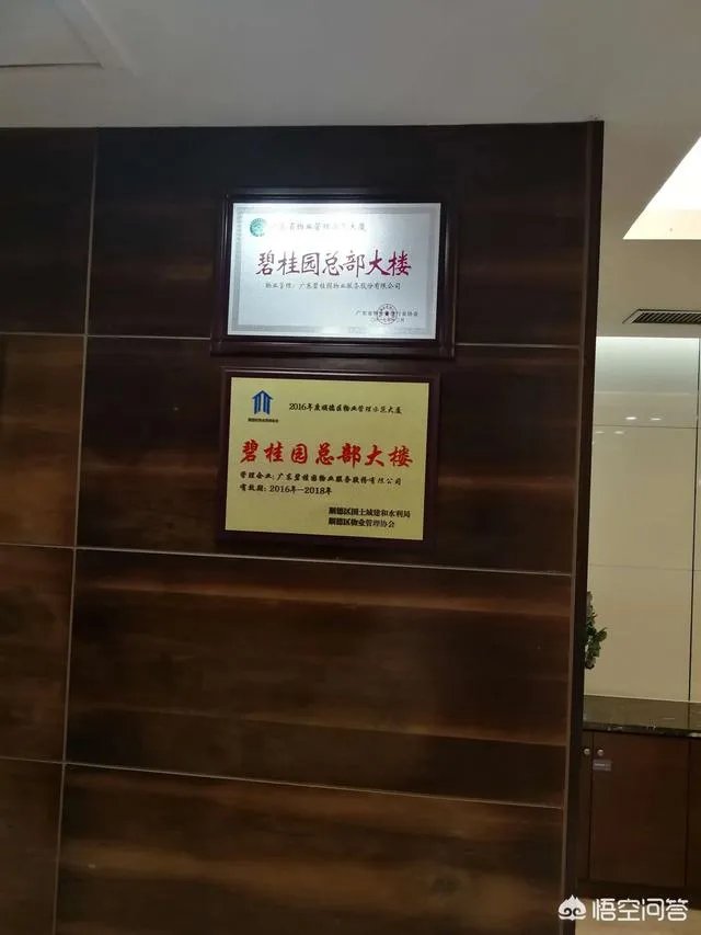 碧桂园有9000亿负债难道一点都不慌吗,你如何看?