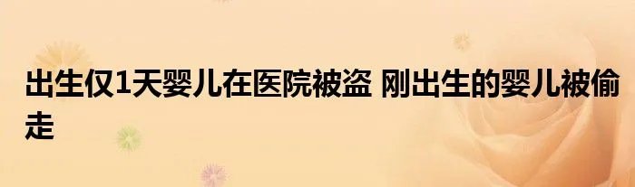 出生仅1天婴儿在医院被盗 刚出生的婴儿被偷走
