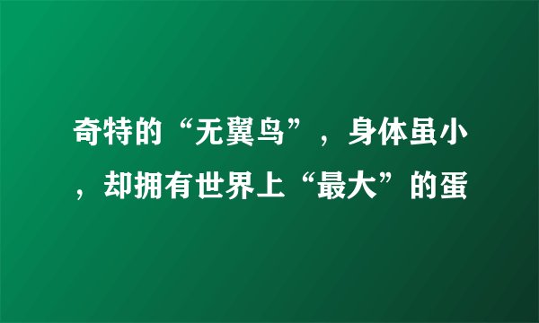 奇特的“无翼鸟”，身体虽小，却拥有世界上“最大”的蛋