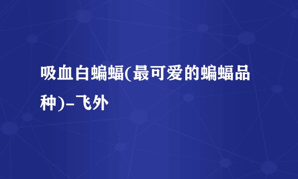 吸血白蝙蝠(最可爱的蝙蝠品种)-飞外