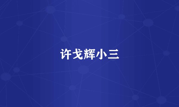 许戈辉小三