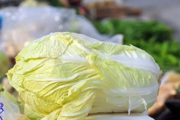 韩国白菜价格暴涨，官方对此有何说明？
