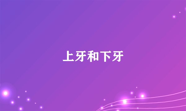 上牙和下牙