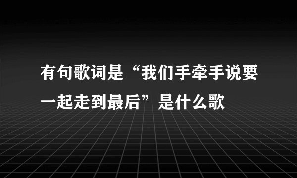 有句歌词是“我们手牵手说要一起走到最后”是什么歌