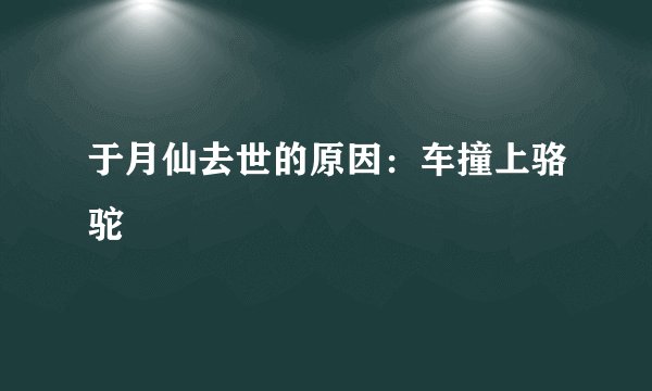 于月仙去世的原因：车撞上骆驼