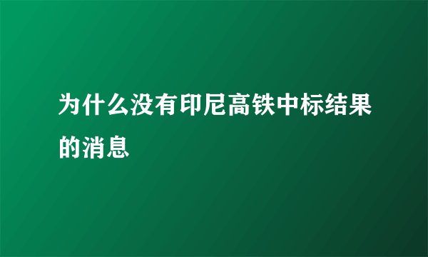 为什么没有印尼高铁中标结果的消息