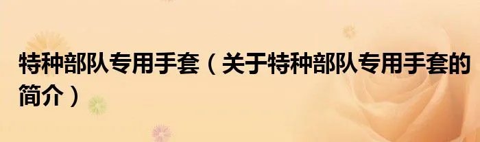 特种部队专用手套（关于特种部队专用手套的简介）