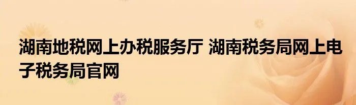 湖南地税网上办税服务厅 湖南税务局网上电子税务局官网