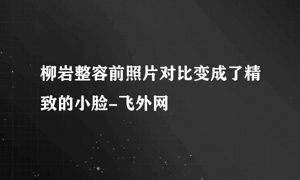 柳岩整容前照片对比变成了精致的小脸-飞外网