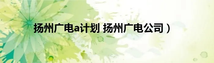 扬州广电a计划 扬州广电公司）