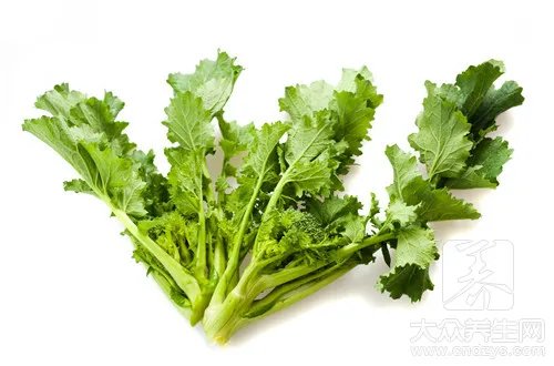 荆芥的吃法大全