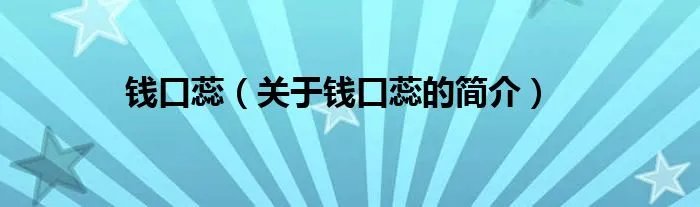钱口蕊（关于钱口蕊的简介）