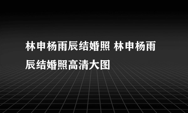 林申杨雨辰结婚照 林申杨雨辰结婚照高清大图